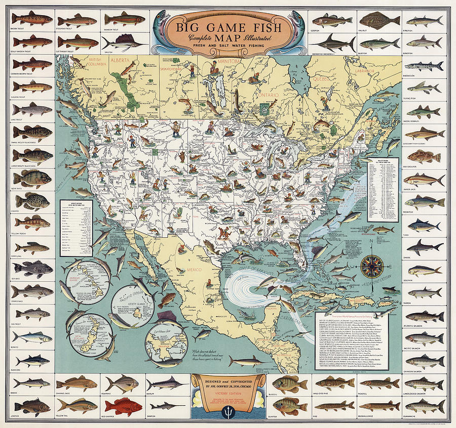 Vintage Fishing Map 1936 Photograph by Daniel Hagerman