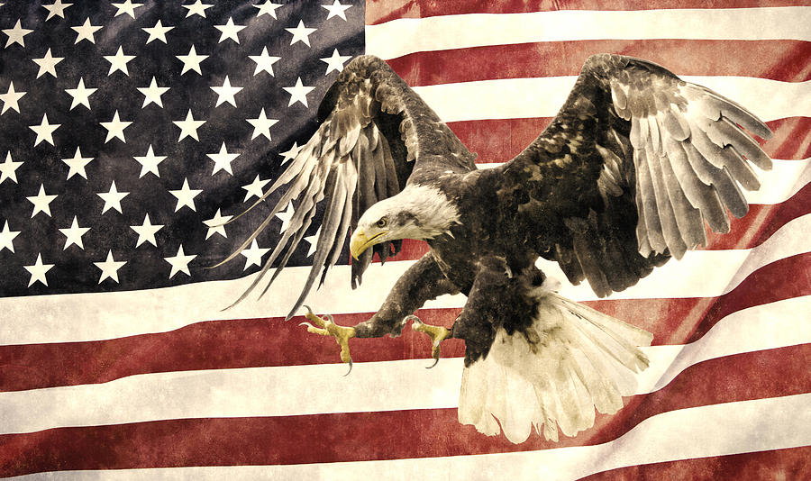 Vintage Flag with Eagle Photograph by Scott Carruthers