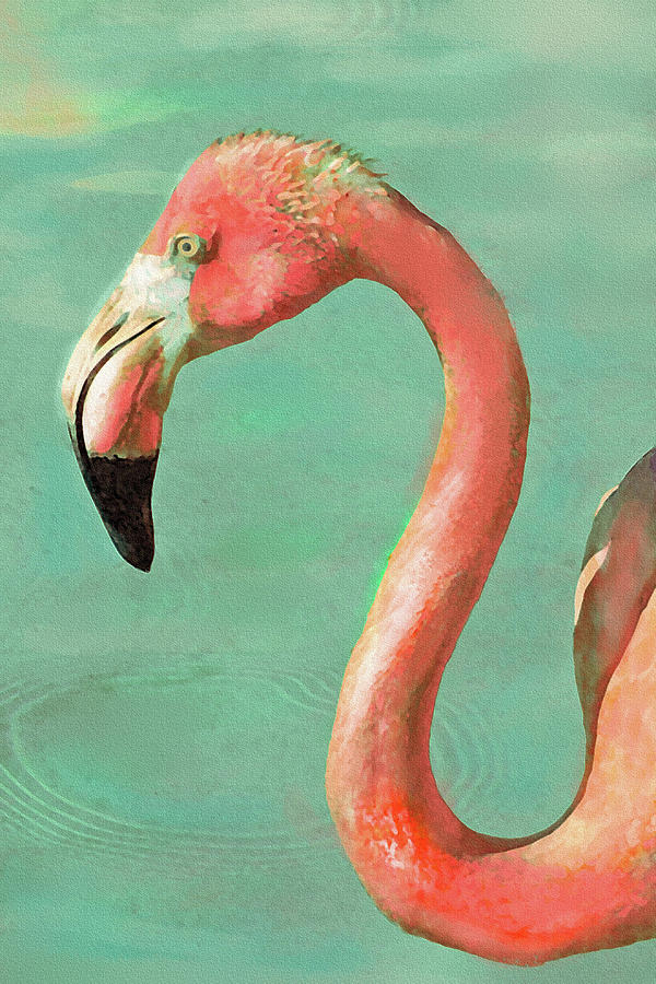 Vintage Flamingo Digital Art by Jane Schnetlage