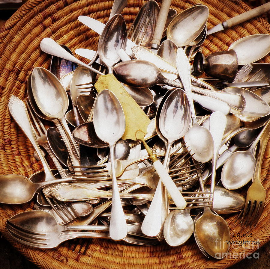 Vintage Flatware Collection  Photograph by Lainie Wrightson
