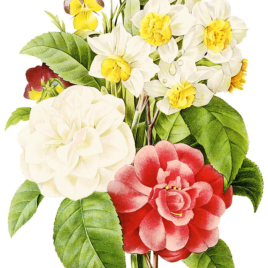 Vintage Flowers 1 Painting by Bonnie Bruno