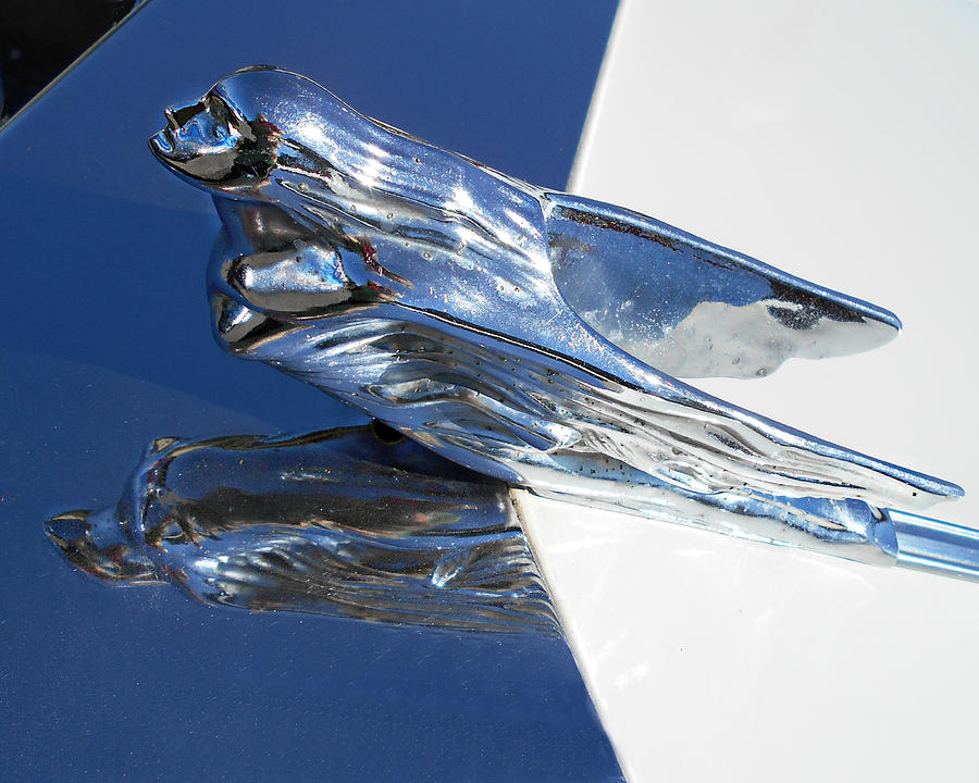 Vintage Flying Lady Hood Ornament Photograph by Kathy M Krause