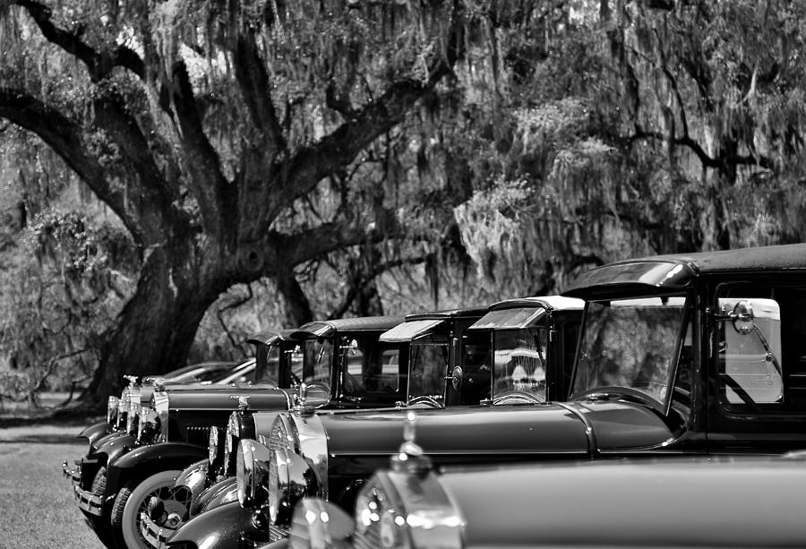 Vintage Ford Line-up at Magnolia Plantation - Charleston SC Photograph by Donnie Whitaker