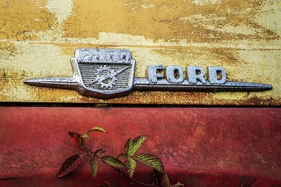  Vintage Ford Logo Photograph by Patrice Zinck