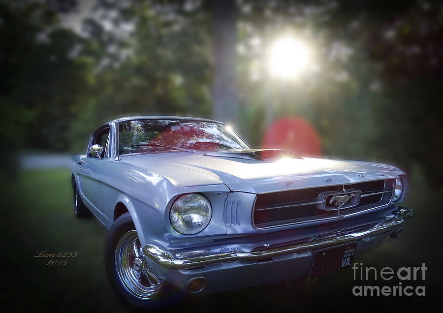 Vintage Ford Mustang Photograph by Melissa Messick