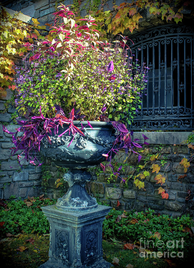 Vintage Garden Urn Photograph by Colleen Kammerer