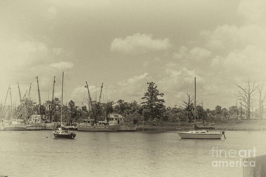Vintage Georgetown SC Photograph by Dale Powell