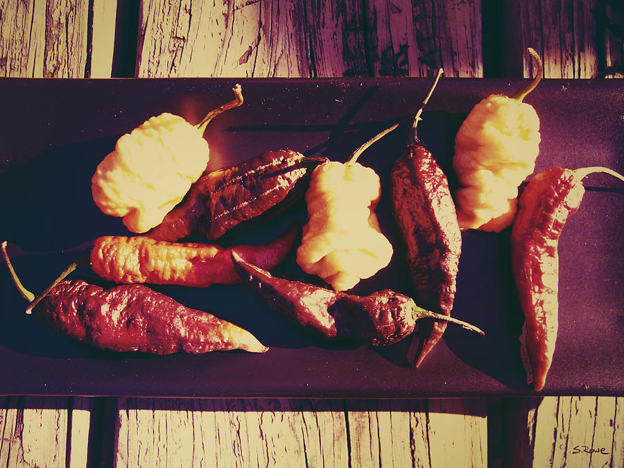 Vintage Ghost Chilies  Photograph by Shawna Rowe
