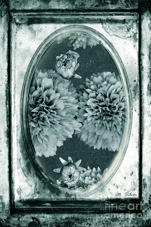 Vintage Glass Cyanoplate Dahlias Photograph by Nina Silver
