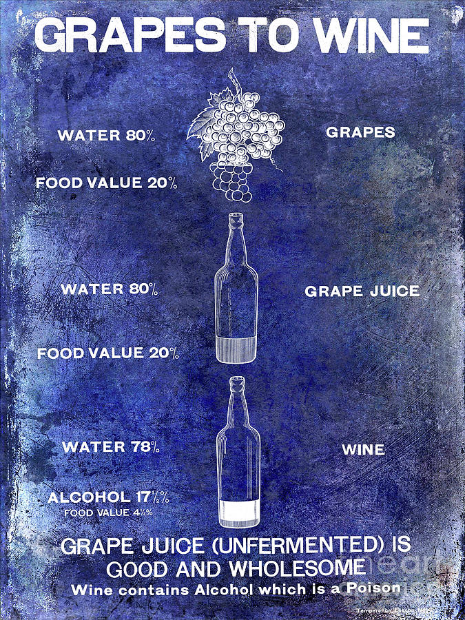 Vintage Grape to Wine Chart Blue Photograph by Jon Neidert