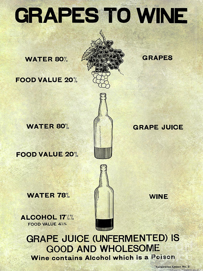 Grape Photograph - Vintage Grape to Wine Chart by Jon Neidert