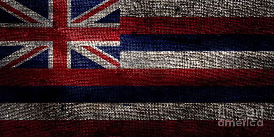 Vintage Hawaii Flag  Photograph by Jon Neidert