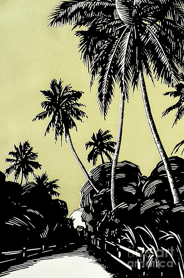 Vintage Hawaii Palms Painting by Hawaiian Legacy Archive - Printscapes