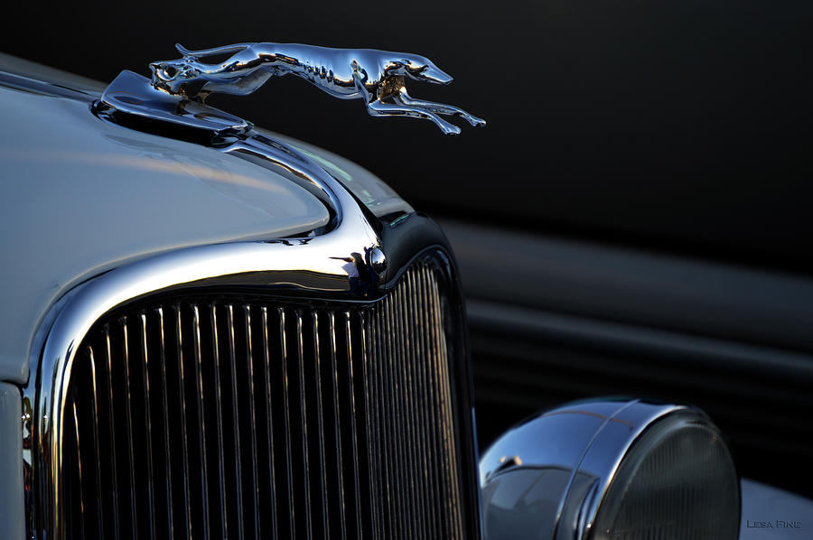 Vintage Ford Greyhound Hood Ornament Photograph by Lesa Fine - Pixels