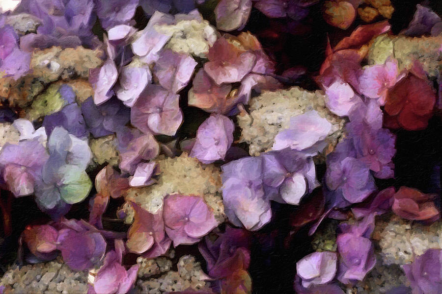 Beautiful Flower Garden Mixed Media - Vintage Hydrangea by Susan Maxwell Schmidt Beautiful Flower Garden Mixed Media - Vintage Hydrangea by Susan Maxwell Schmidt