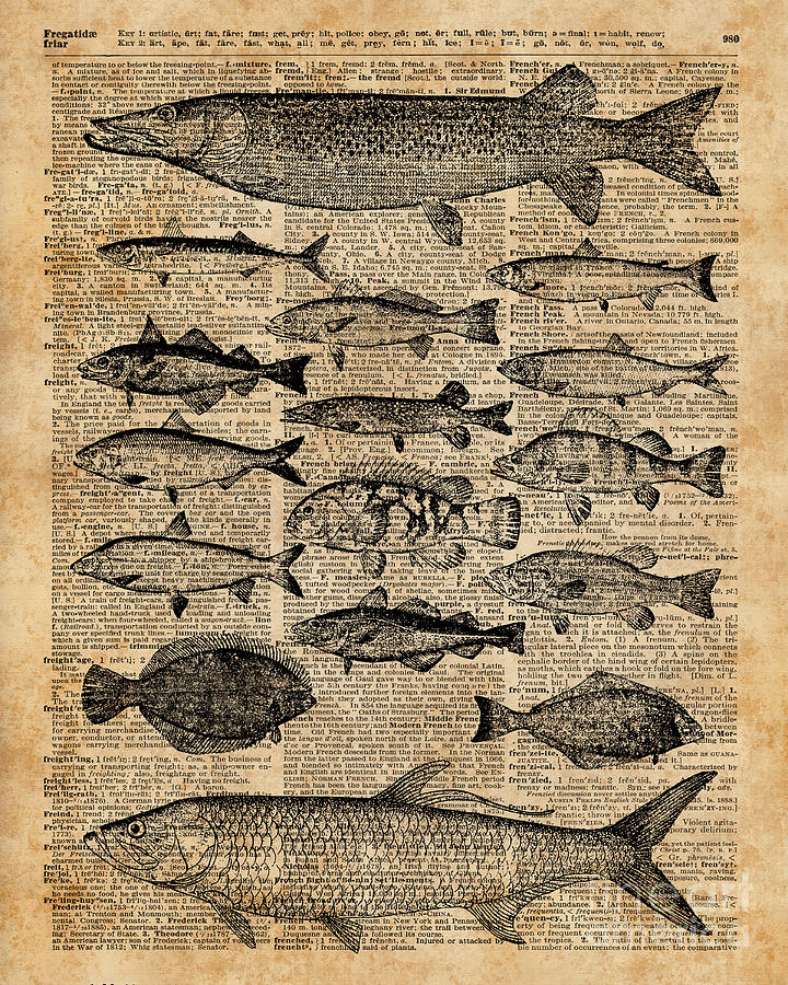 Animal Digital Art - Vintage Illustration of Fishes Over Old Book Page Dictionary Art Collage by Anna W