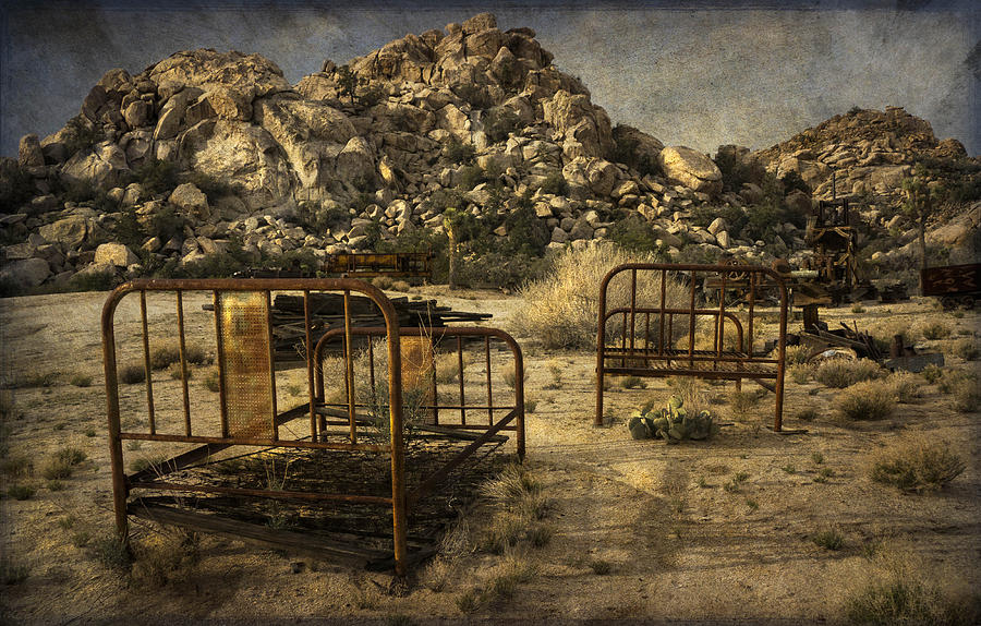 Vintage Iron Beds Digital Art by Sandra Selle Rodriguez