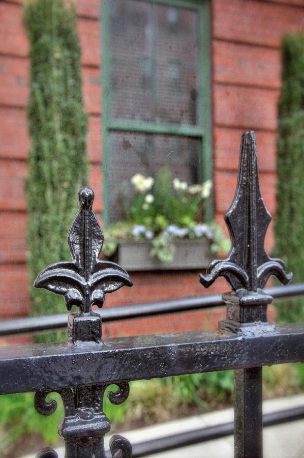 Vintage Iron Fence and Flower Box - Boston South End Photograph by Joann Vitali