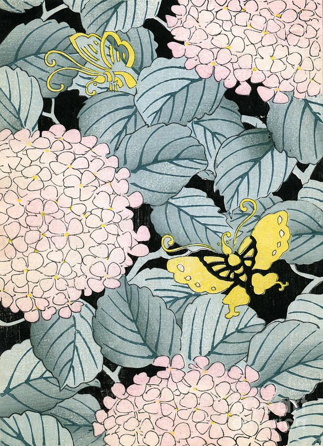 Vintage Japanese illustration of a hydrangea blossoms and butterflies Painting by Japanese School