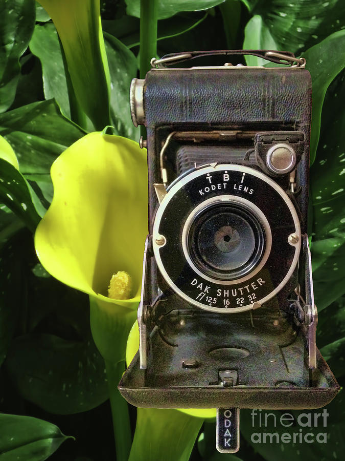 Vintage Kodak Photograph by Steven Parker