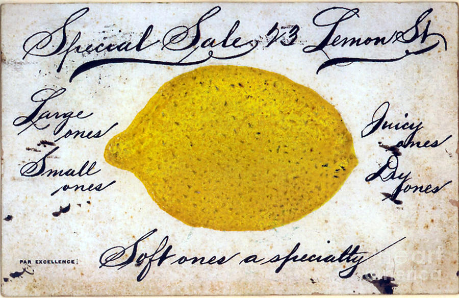 Lemon Painting - Vintage Lemon Sign by Mindy Sommers