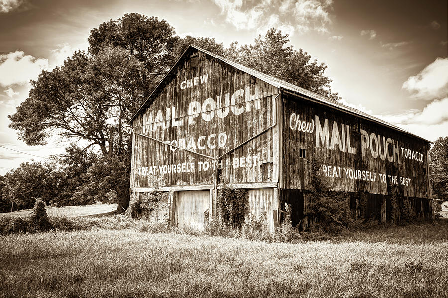 Vintage Photograph - Vintage Mail Pouch Tobacco Barn - Sepia Edition by Gregory Ballos