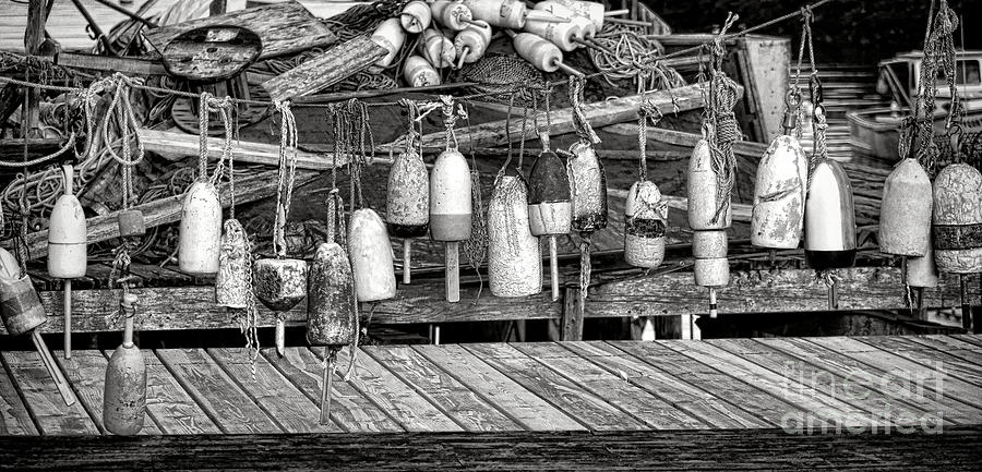 Vintage Maine Lobstering Photograph by Olivier Le Queinec