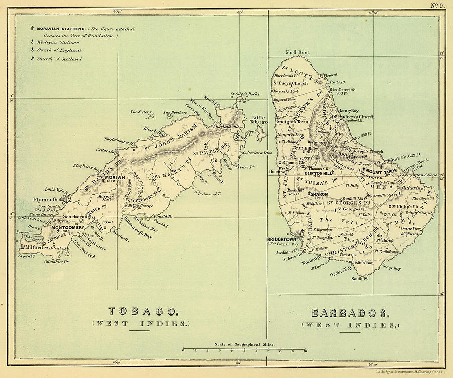 Vintage Map Of Barbados And Tobago - 1853 Drawing By 