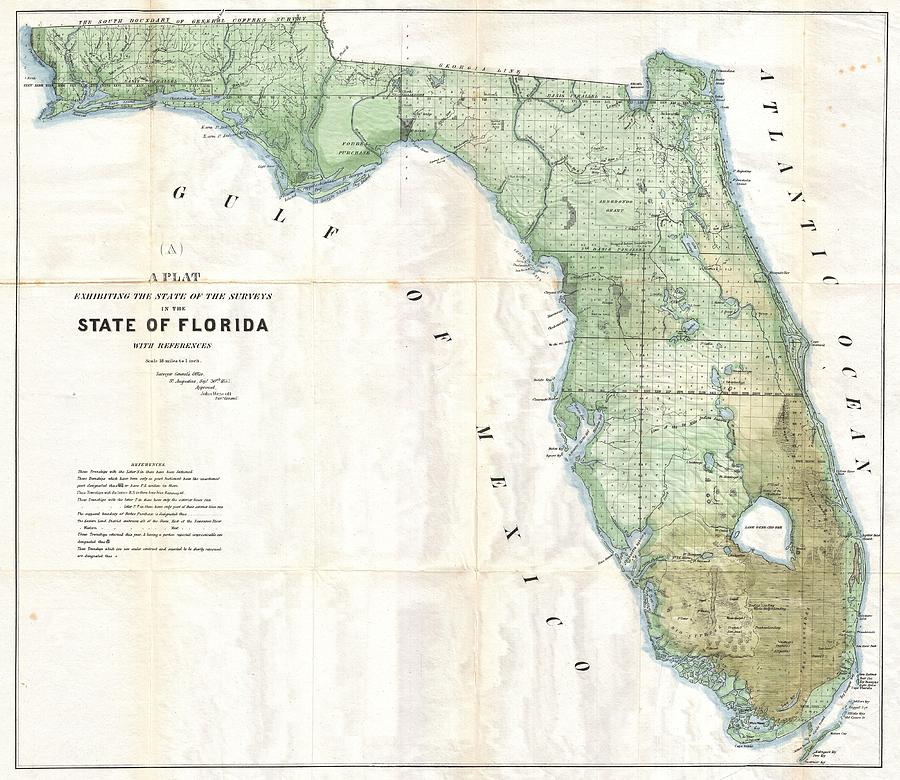 Vintage Map of Florida Drawing by Adam Shaw - Fine Art America