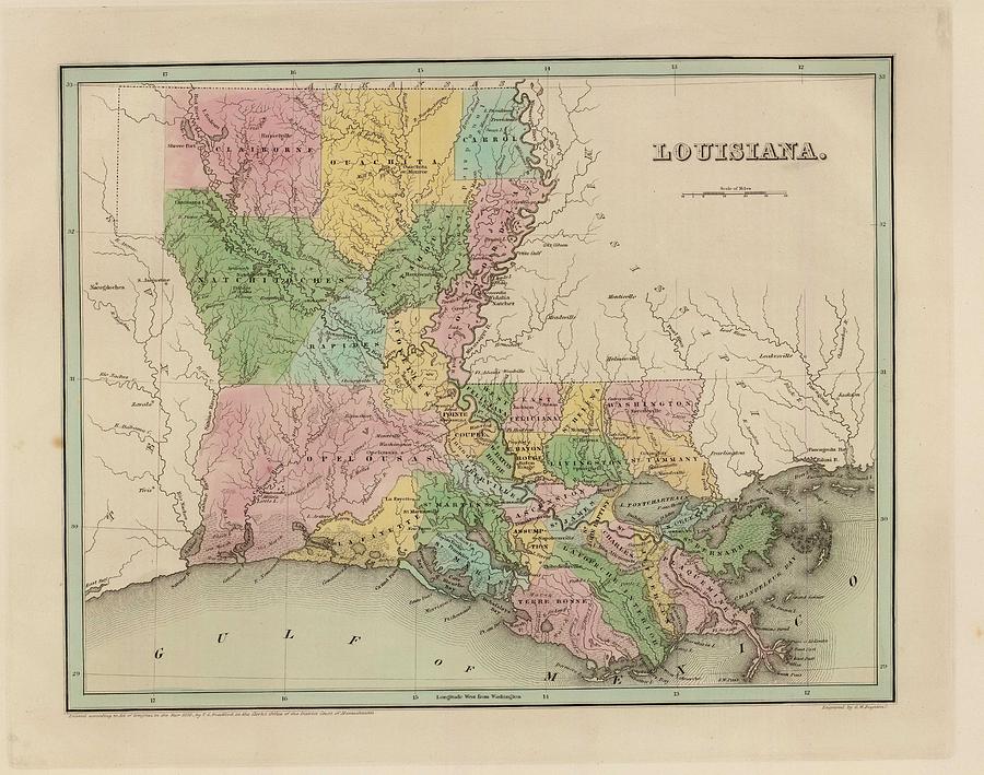 Vintage Map of Louisiana - 1838 Drawing by CartographyAssociates - Pixels