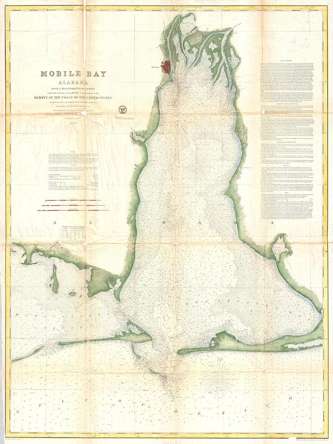 Mobile Drawing - Vintage Map of Mobile Bay Alabama - 1856 by CartographyAssociates