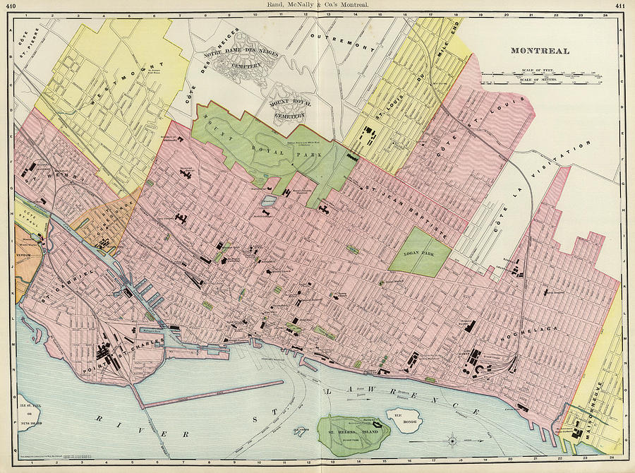 Vintage Map of Montreal 1903 by CartographyAssociates