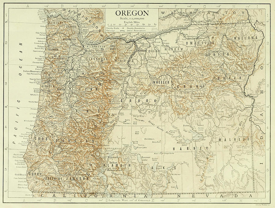 Vintage Map of Oregon 1911 Drawing by CartographyAssociates Pixels