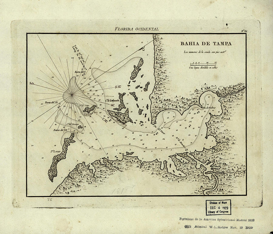 Vintage Map Of Tampa Florida - 1809 Drawing