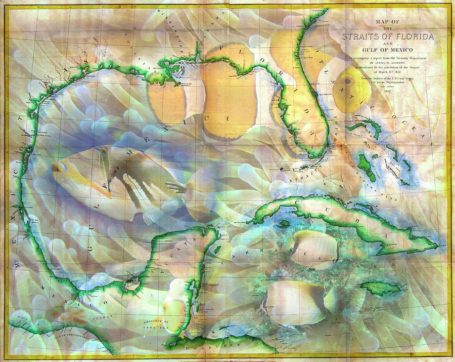 Vintage Map of the Gulf of Mexico and the Florida Straits Photograph by Debra and Dave Vanderlaan