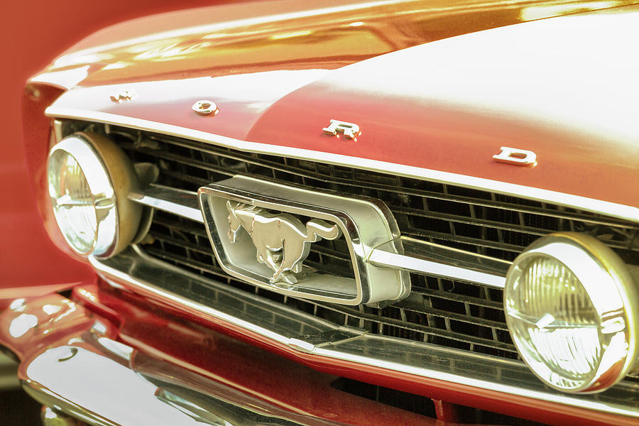 Vintage Mustang Photograph by Caitlyn Grasso