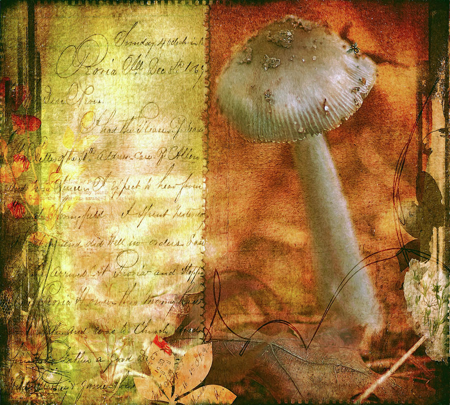 Mushroom Photograph - Vintage Nature Journal Page  by Bellesouth Studio