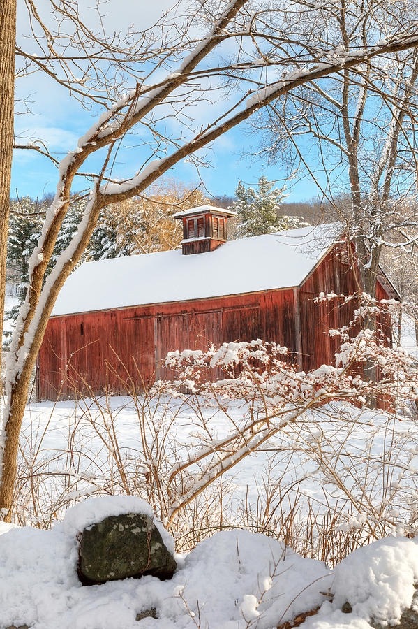 Vintage New England Barn Portrait Photograph by Bill Wakeley