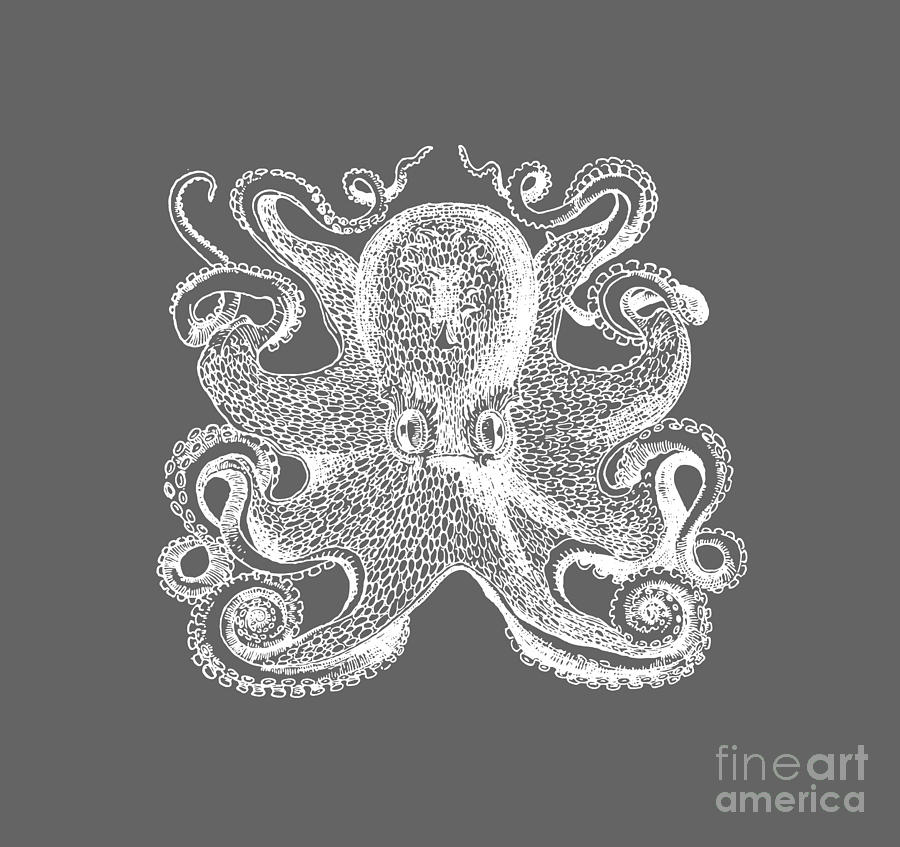 Vintage Octopus Illustration Digital Art by Edward Fielding