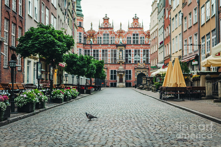 Vintage Old Town street in Gdansk. Photograph by Michal Bednarek