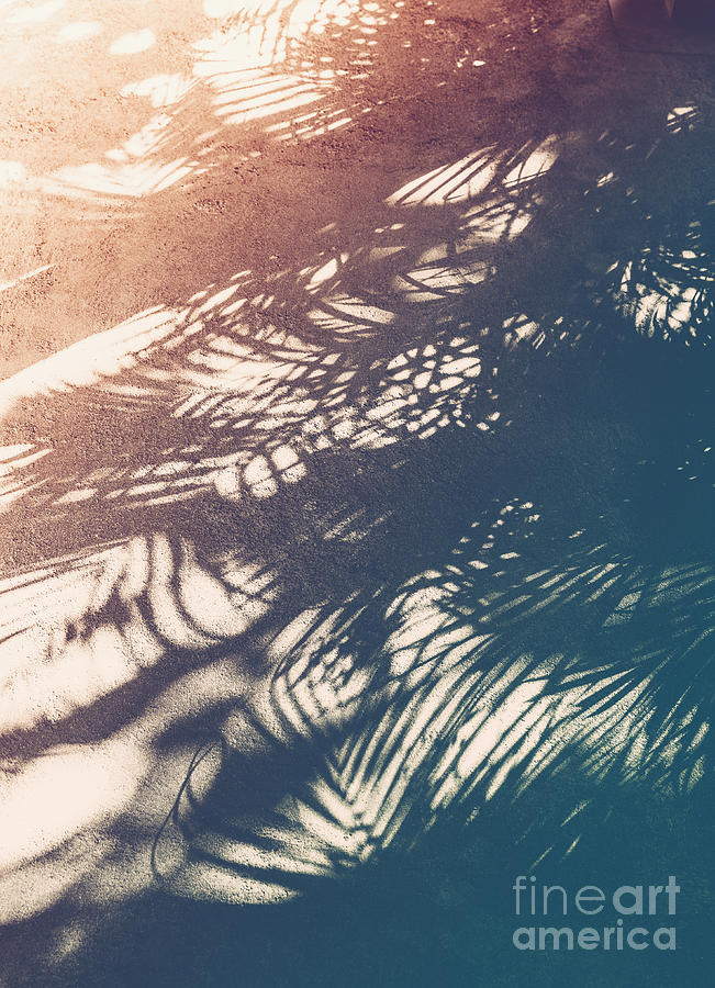 Vintage palm tropical background Photograph by Anna Om