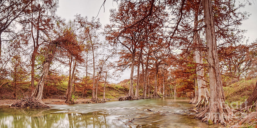 Vintage Panorama of Guadalupe River at James Kiehl Riverbend Park - Comfort Texas Hill Country Photograph by Silvio Ligutti