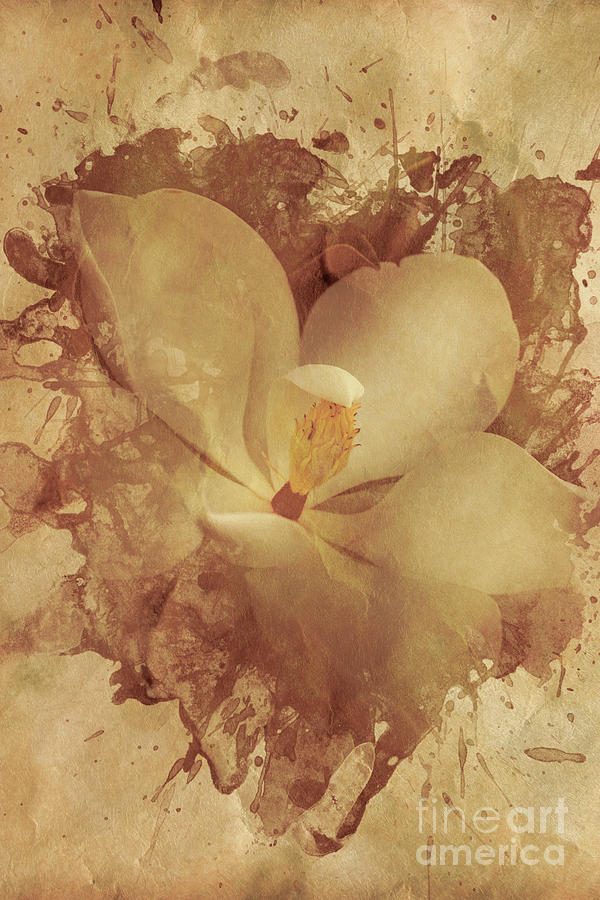 Vintage Paper Magnolia Digital Art