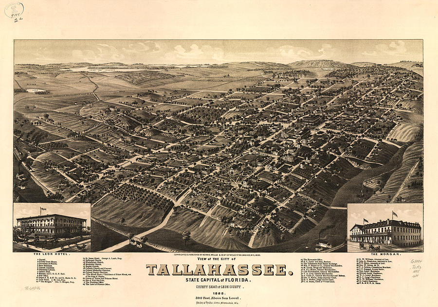 Tallahassee Drawing - Vintage Pictorial Map of Tallahassee FL - 1885 by CartographyAssociates