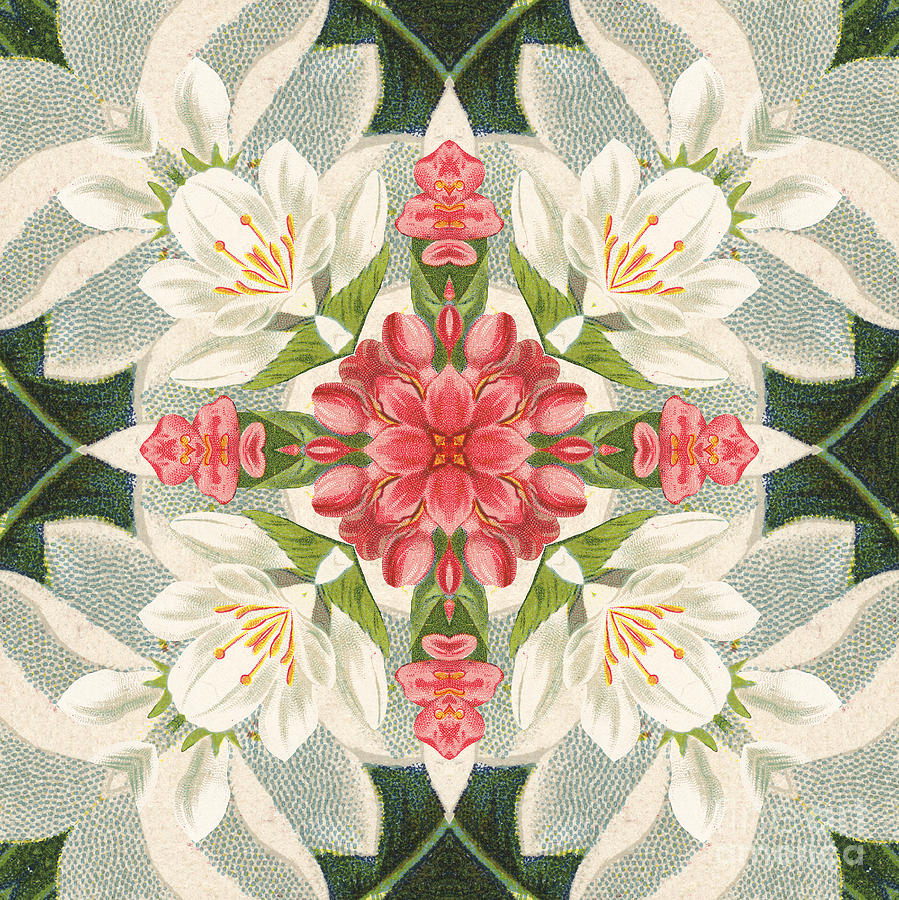 Vintage Pink and White Floral Pattern Digital Art by Mary Machare