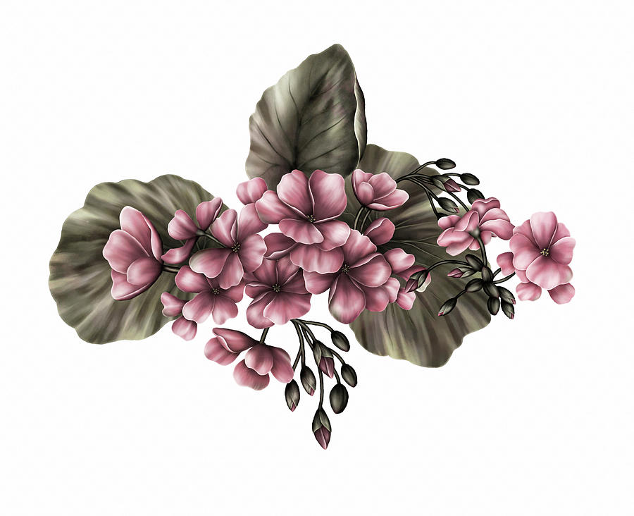 Vintage Flowers Digital Art - Vintage Pink Geraniums by Georgiana Romanovna