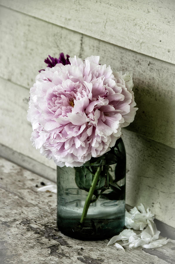 Vintage Pink Peony in Ball Jar Photograph by Julie Palencia