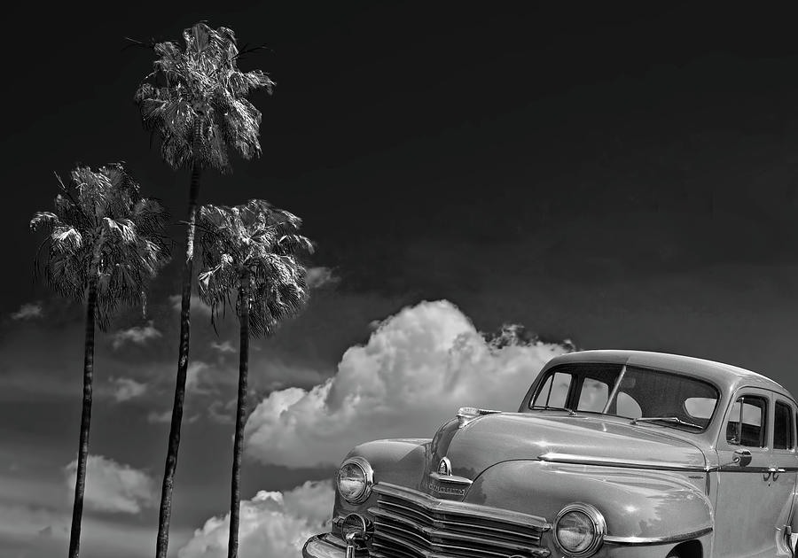 Vintage Plymouth Automobile in Black and White against Palm Trees Photograph by Randall Nyhof