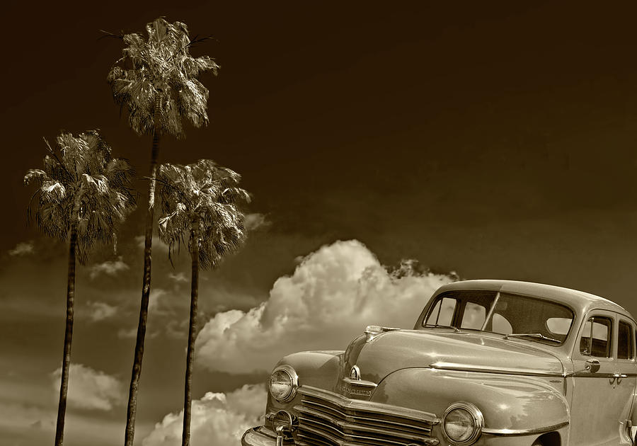 Vintage Plymouth Automobile in Sepia Tone against Palm Trees Photograph by Randall Nyhof