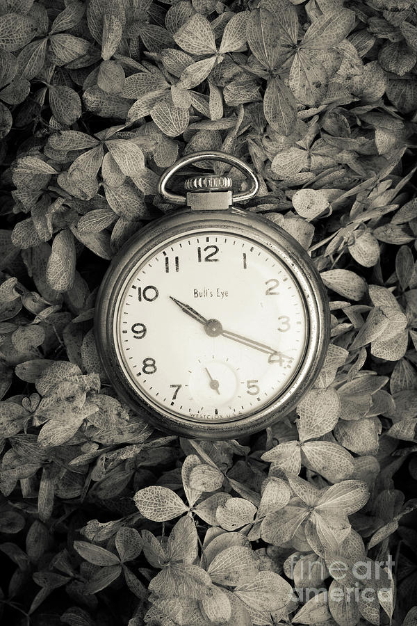 Vintage Pocket Watch Over Flowers Photograph by Edward Fielding